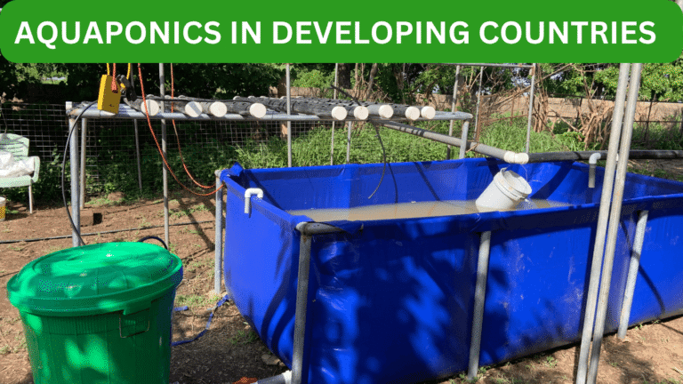 aquaponics for development