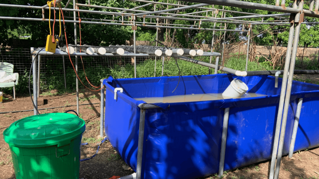 Fish Pond and aquaponics setup